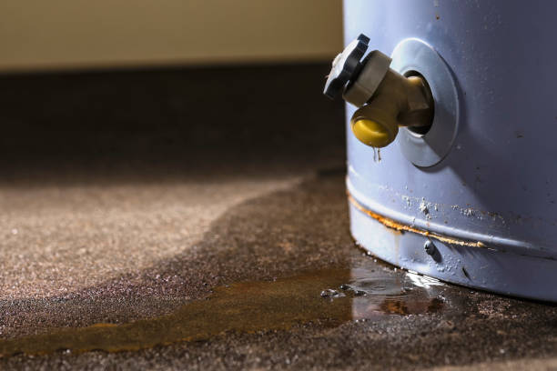 Best Fire Damage Restoration  in Summit View, WA