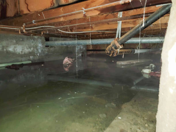 Best Flood restoration services  in Summit View, WA