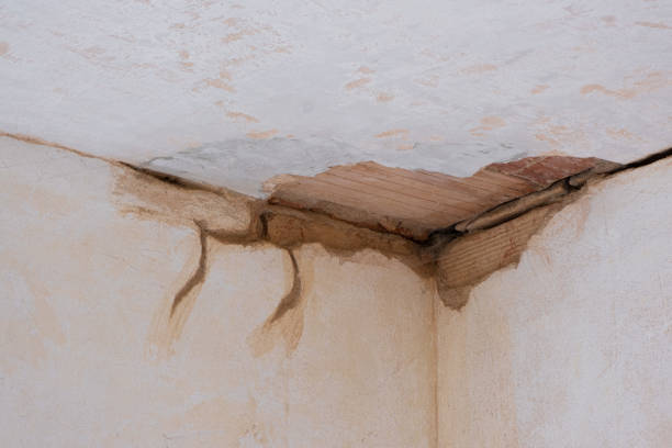 Best 24-hour water damage restoration  in Summit View, WA
