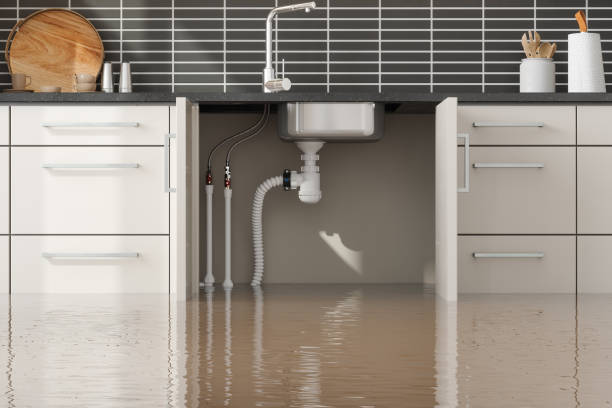 Best Flooded house restoration  in Summit View, WA