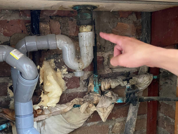 Best Flood damage cleanup  in Summit View, WA